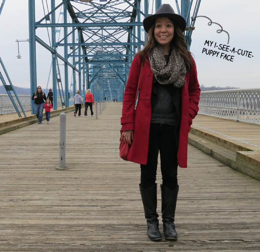 Chattanooga pedestrian bridge