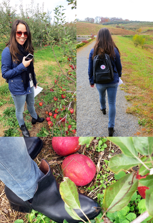 apple picking outfit details