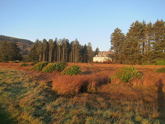 Saddell House