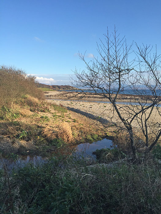 winter beach