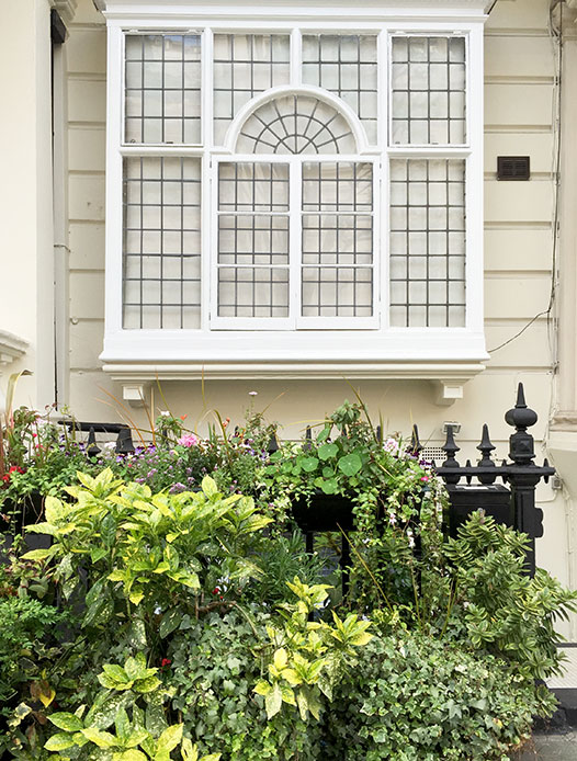 london-window