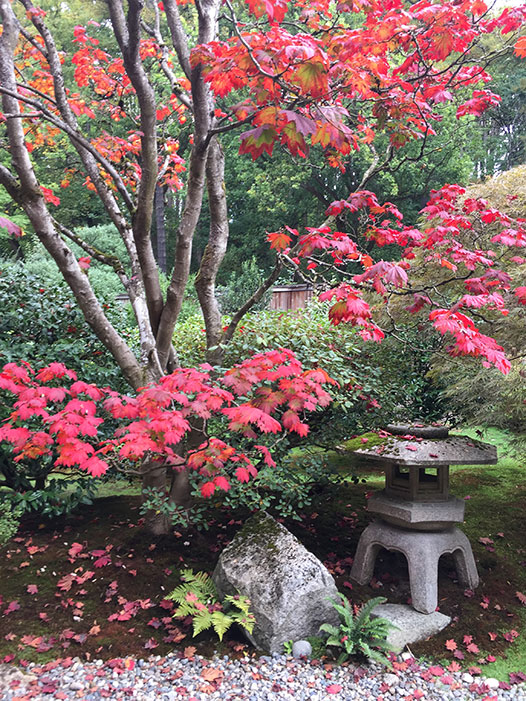 japanese-garden